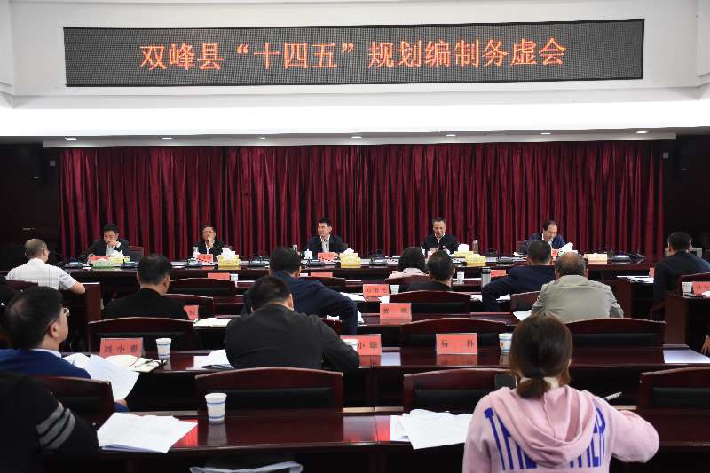 禹敏主持召开“十四五”规划编制务虚会