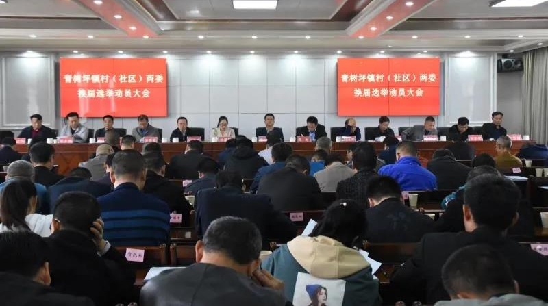 【第458期】双峰县启动村（社区）“两委”换届试点工作