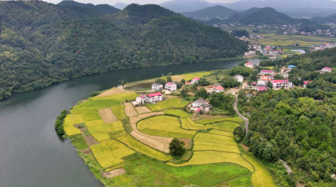 新故相推舒画卷，丹青妙手向翠峰——双峰县杏子铺镇“脱贫密码”破解记