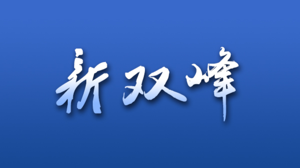 双峰县科技工业园开发有限公司2020年人员招聘公告