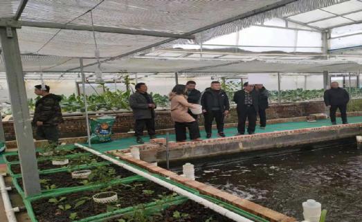 发展水产特色养殖 助力乡村振兴
