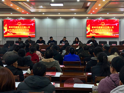 甘棠镇学习贯彻党的十九届五中全会精神