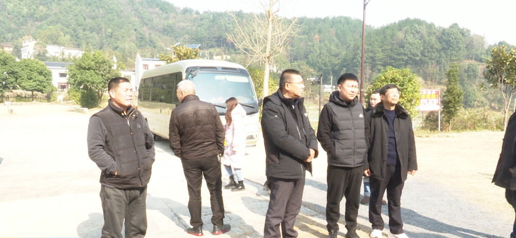 市专家组就“十四五”文化改革发展规划来双调研