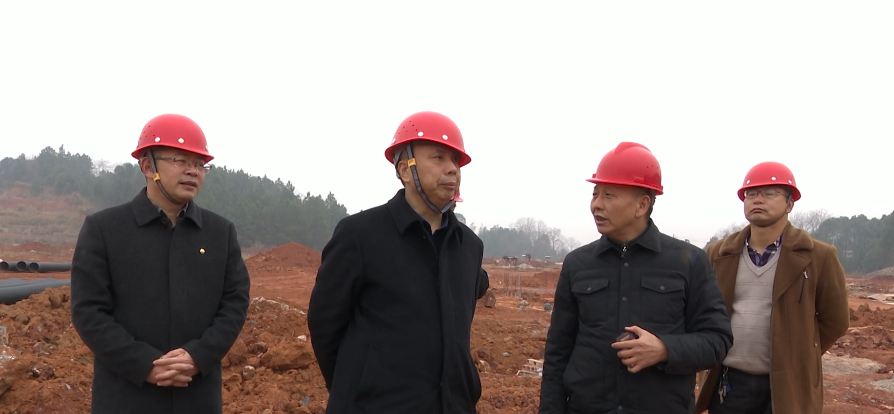 彭石清督查重点项目建设情况