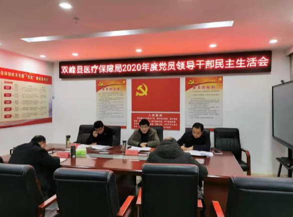 县医疗保障局：党员领导干部民主生活会
