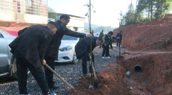 甘棠镇开展义务植树 为美丽乡村再添新绿