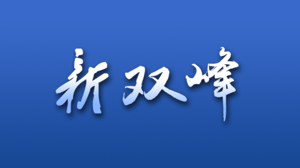 脱贫攻坚大型政论专题片《摆脱贫困》第二集 精准施策