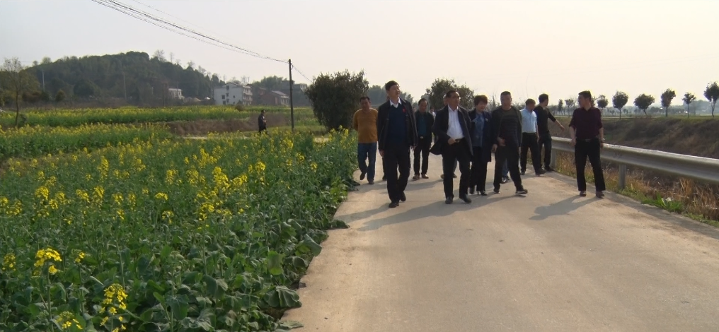 付凯军、彭云辉调研2021年第十届油菜花旅游节筹备工作