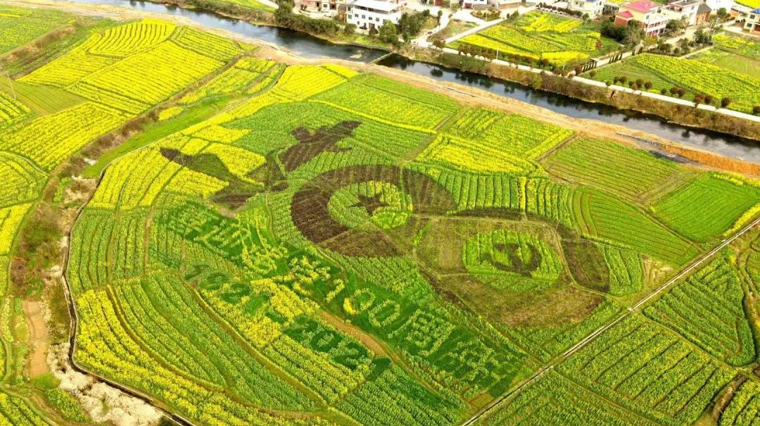 赶紧收藏！这份踏青出游攻略带你心花怒放