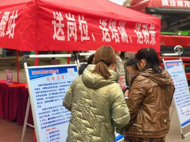 洪山殿镇：送岗位、送政策、送培训