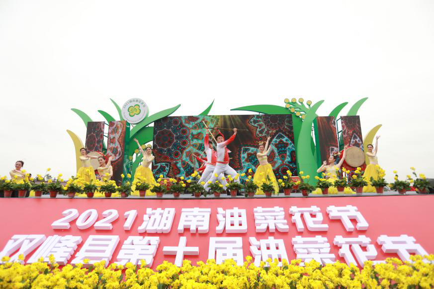 油菜花儿开 三湘等您来 2021湖南油菜花节、双峰县第十届油菜花节 开幕