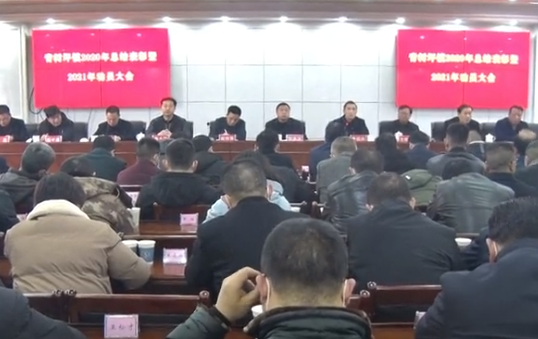 青树坪镇召开2020年总结表彰暨2021年工作动员大会