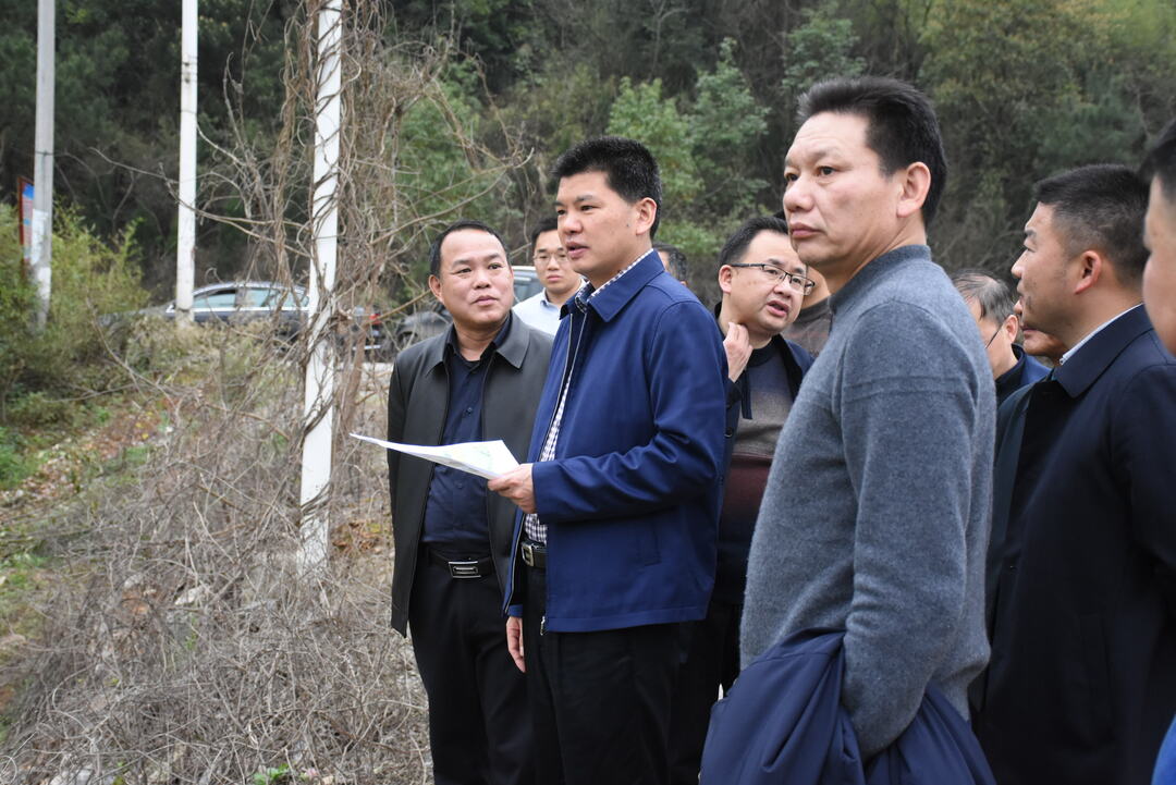 禹敏督查整治农村乱占耕地建房和整治耕地抛荒工作