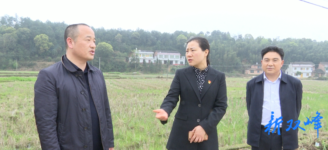 陈卫红到井字镇涓水河巡河