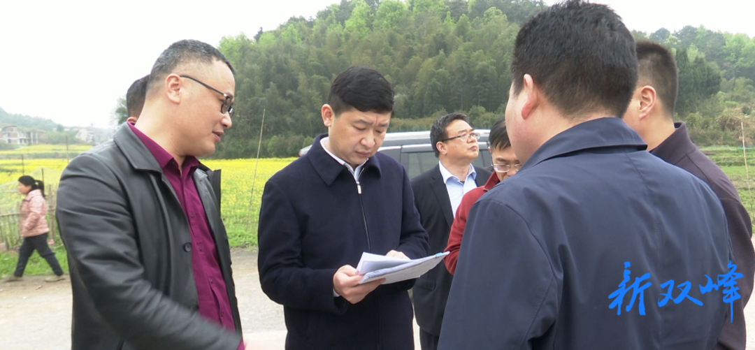 付凯军督查农村乱占耕地建房整治和粮食生产工作