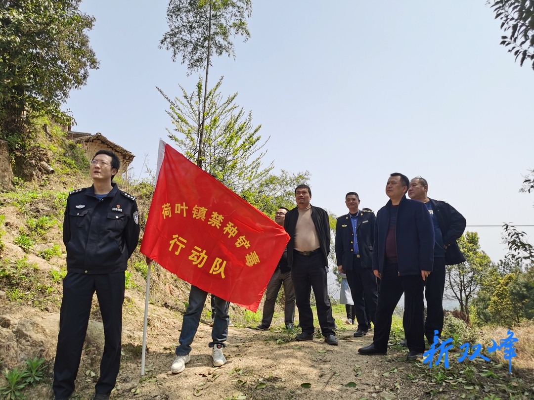 荷叶镇开展春季禁种铲毒踏查行动
