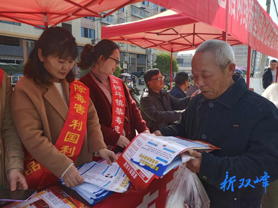 青树坪镇开展综治安全集中宣传活动