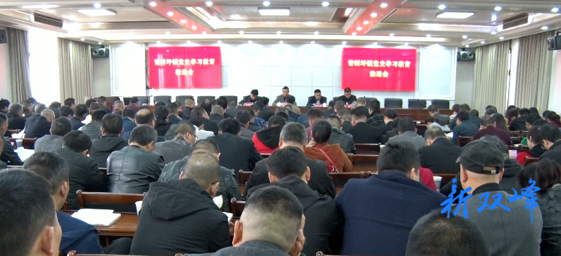 党史学习教育：青树坪镇开展五项特色活动