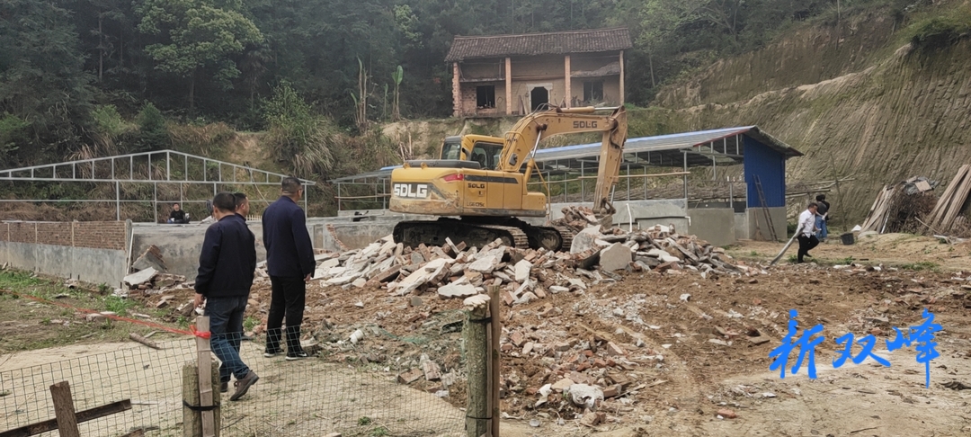 荷叶镇：严守耕地红线 强力推进专项整治行动