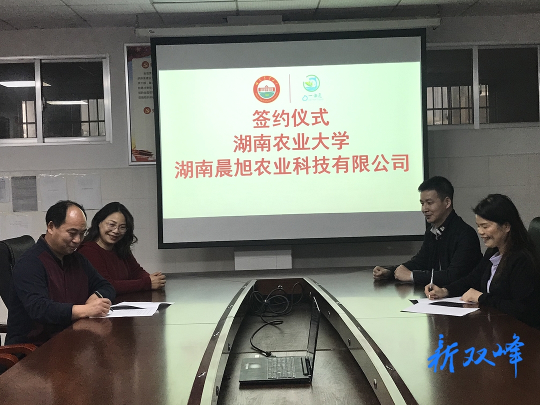 晨旭农业与湖南农大携手打造“稻.鱼.菜共生”生态循环农业产学研基地