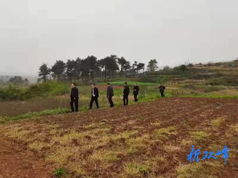 甘棠镇开展禁种铲毒踏查行动