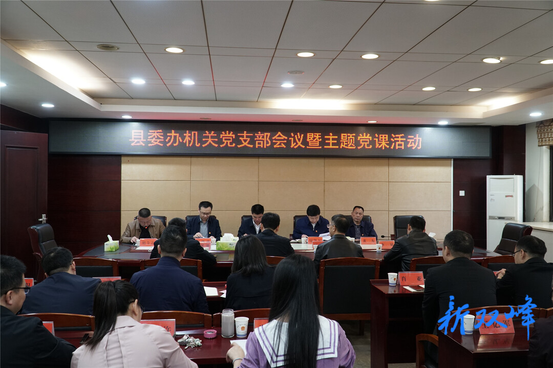 禹敏以普通党员身份参加县委办机关党支部会议暨主题党课活动