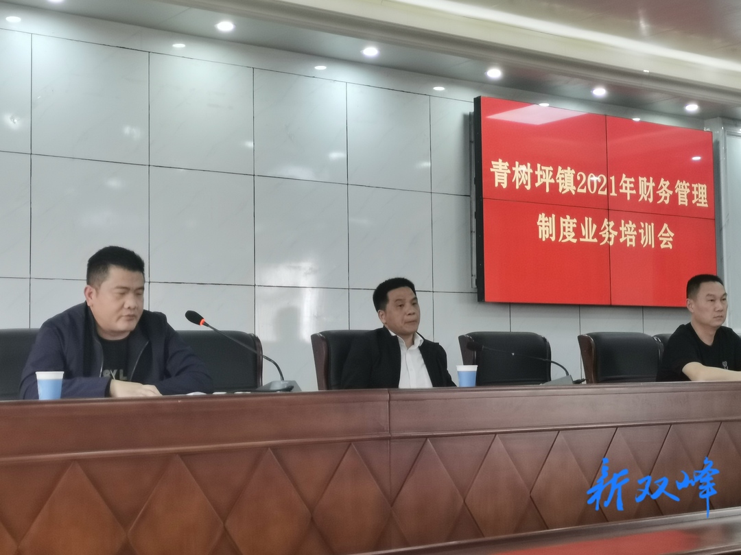 青树坪镇：财务管理知识集中充电
