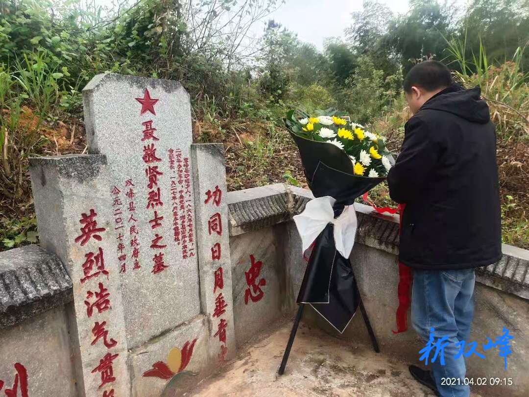 沙塘乡：开展清明祭扫  缅怀革命先烈