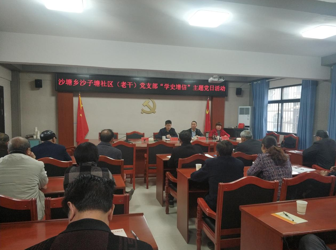 学史增信：沙塘乡沙子塘社区（老干）党支部开展主题党日活动