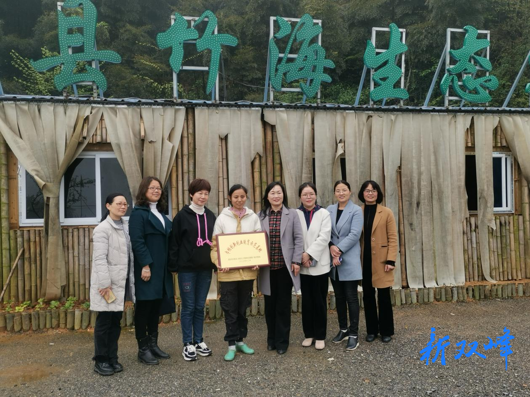 小山坡成了“聚宝盆”