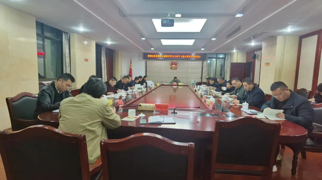 走深 走实 走心 ——双峰法院多种形式开展党史学习教育