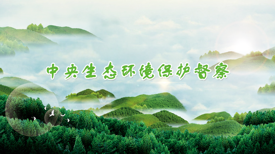 中央生态环境保护督察