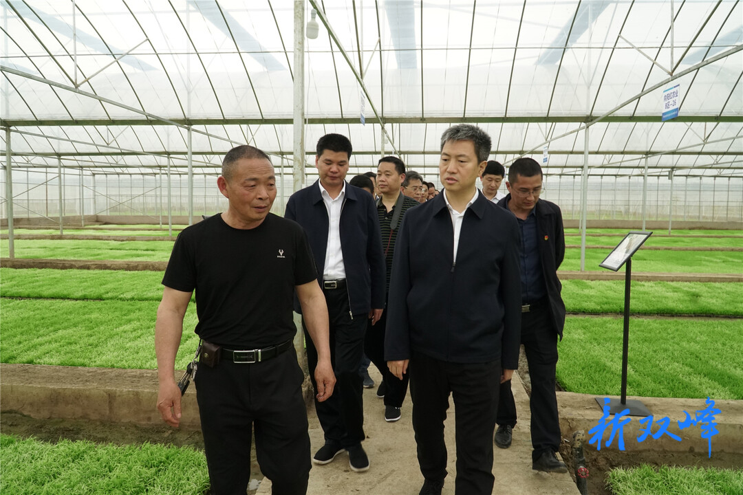 曾超群来双峰调研：让特色元素碰撞出“火花”催生新的发展空间