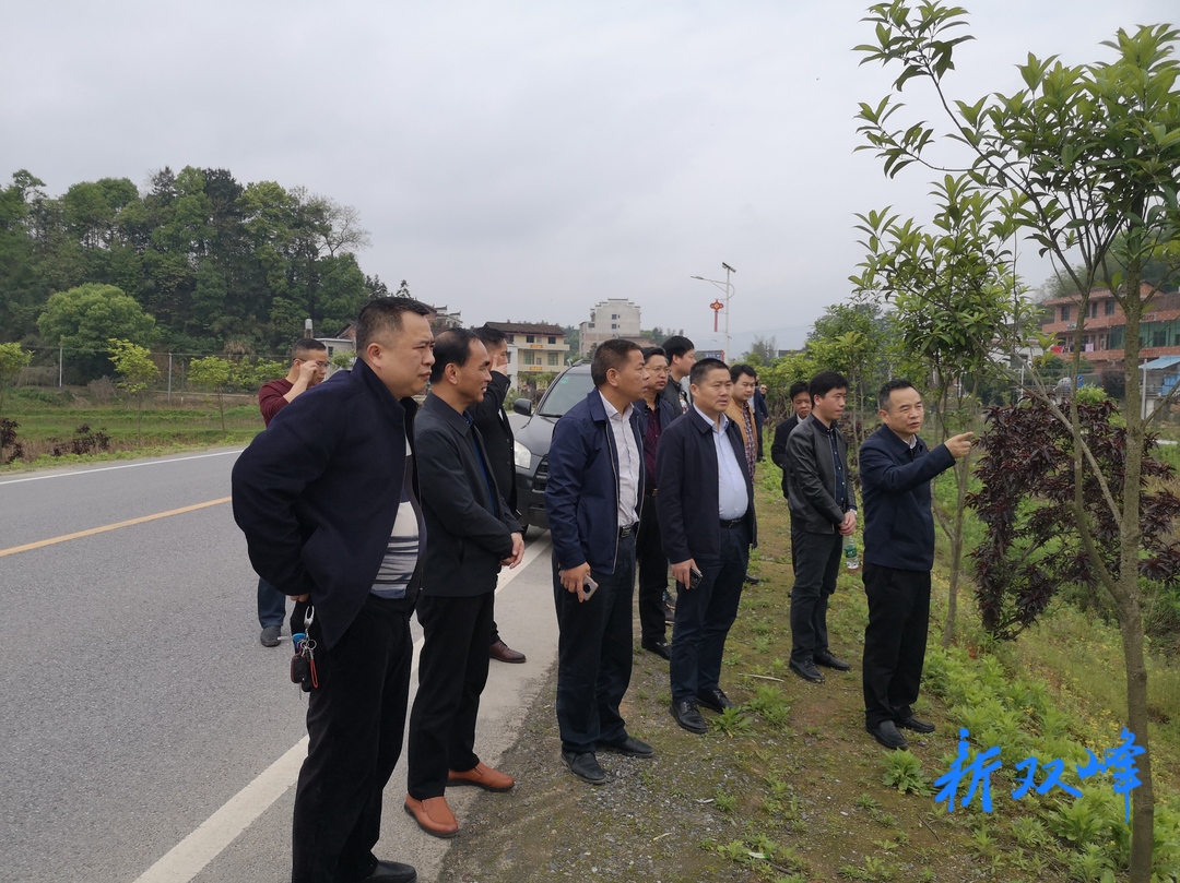 荷叶镇：科技成果助力乡村振兴