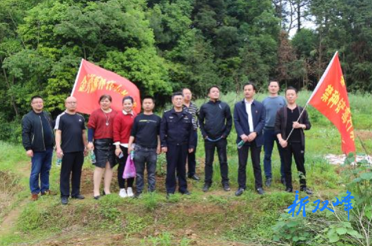 金开街道：禁种铲毒在行动