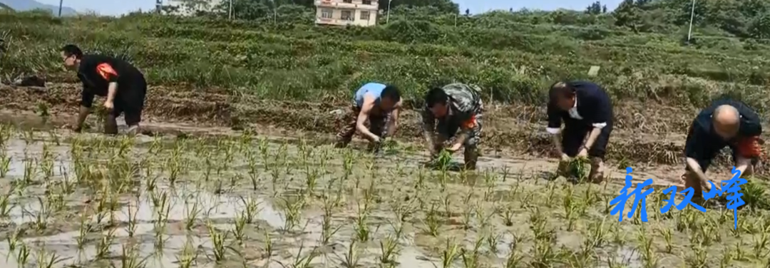党史学习教育：金开街道立足实际为民办实事