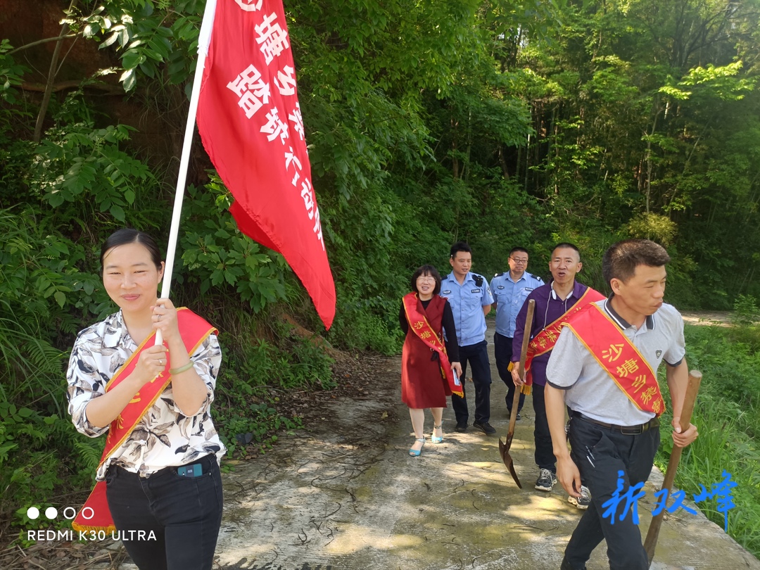 沙塘乡开展禁种铲毒踏查活动