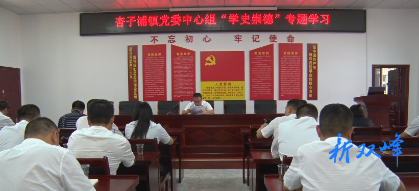杏子铺镇开展“学史崇德”专题学习研讨