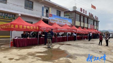 双峰县畜牧水产事务中心积极开展农村法治宣传月集中示范宣传活动