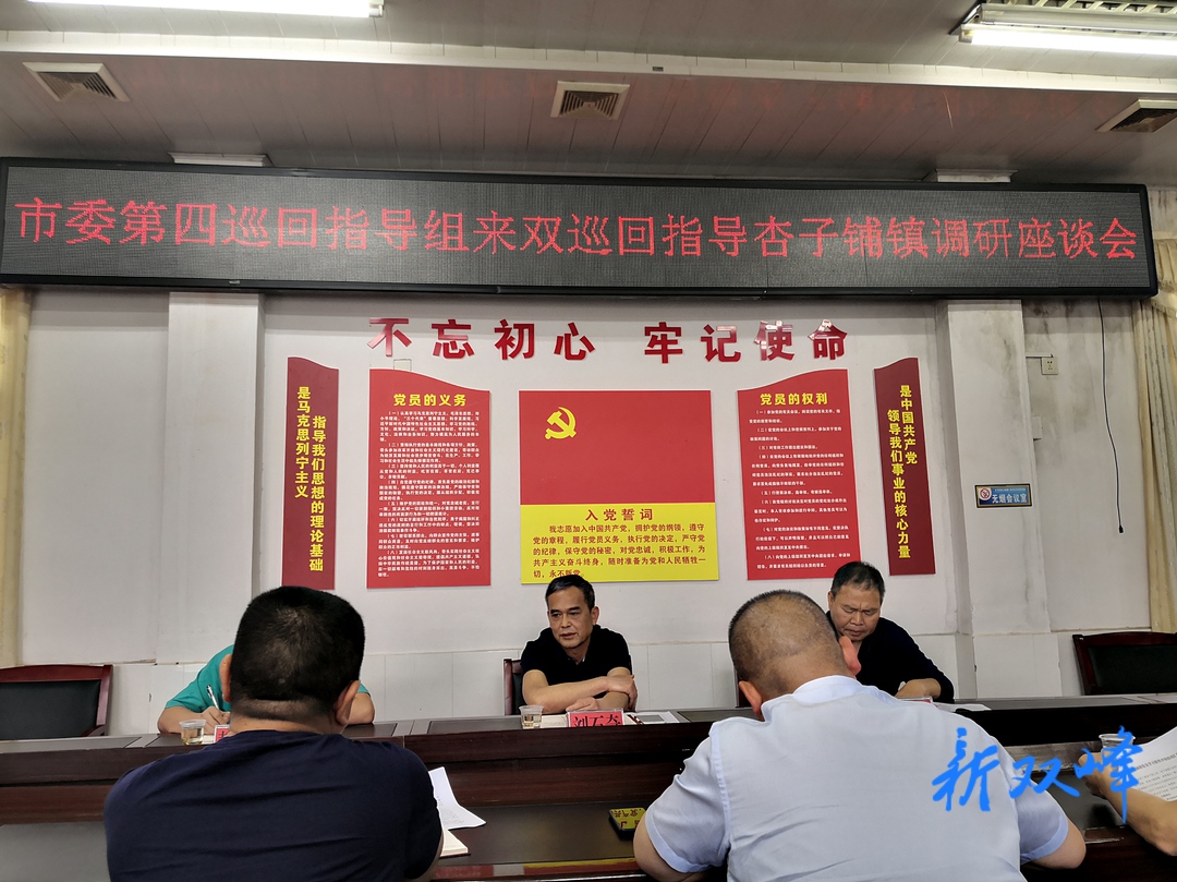 市委第四巡回指导组到杏子铺镇调研党史学习教育