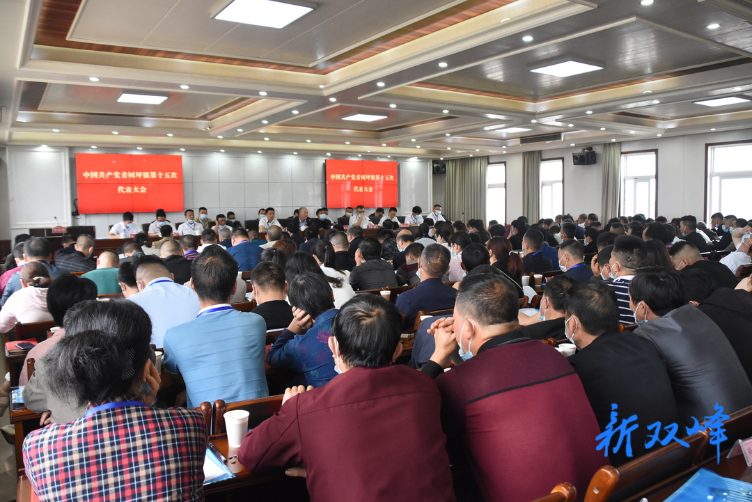 中国共产党青树坪镇第十五次代表大会召开