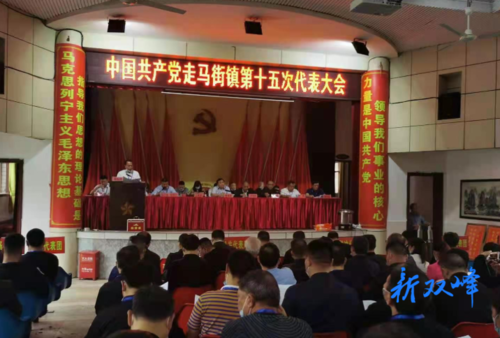 中国共产党走马街镇第十五次代表大会召开