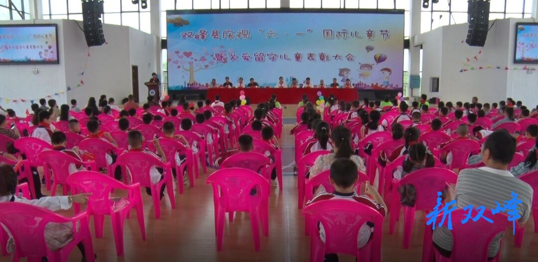 双峰县庆祝“六·一”儿童节暨关爱留守儿童表彰大会举行