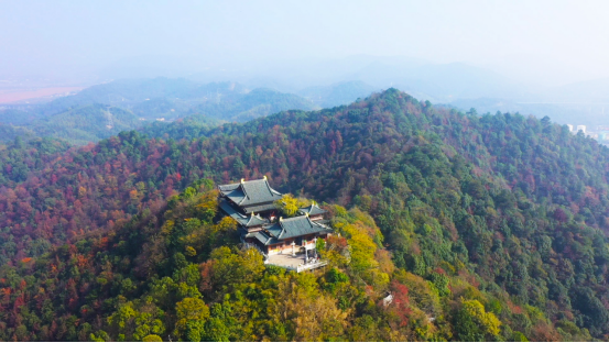 岳塘区：长株潭“城市绿肺”再添守护屏障