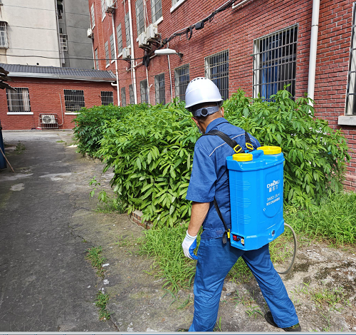 窑湾街道扎实做好夏季病媒生物防制工作