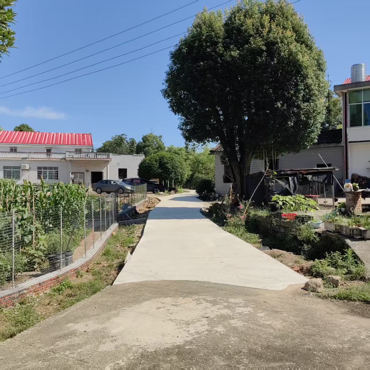 乡贤捐资8.8万元，古培镇双凤村500米通组道路焕新颜