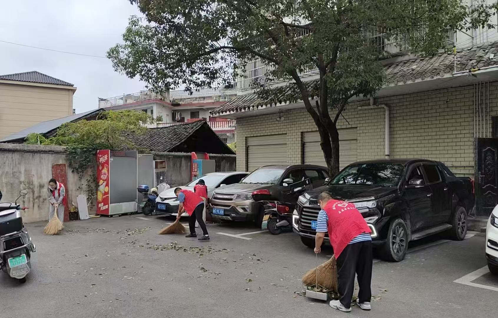 桑植县机关事务服务中心开展实践活动