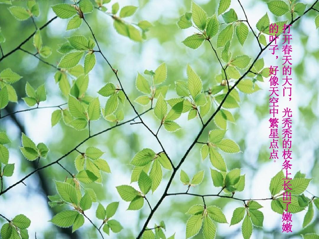 等你打开春天的大门