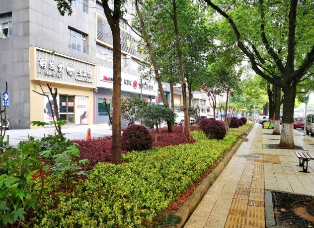 株洲天元区：匠心打造3条绿色景观示范路