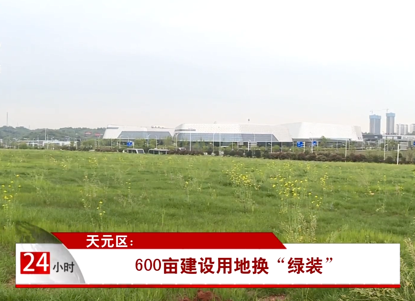 天元区：600亩建设用地换“绿装”